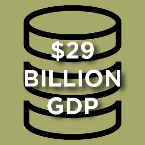 $29 billion GDP. stacked coins icon